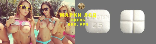 твердый Аркадак