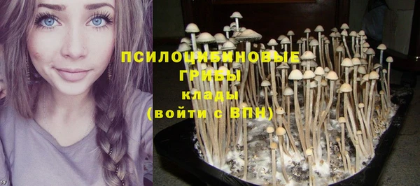 а пвп мука Алексеевка