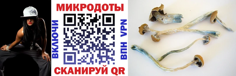 где купить наркотик  Рубцовск  МЕГА tor  Галлюциногенные грибы прущие грибы 